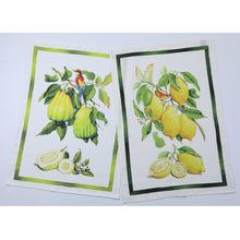 Cargar imagen en el visor de la galería, Paños de Cocina Pajarito Toscana